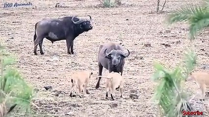 간석출장서비스 간석출장서비스O1Og4838g4959｛카톡NET47｝ 간석출장마사지샵 간석출장안마on간석출장안마cos여3♪⇔∃마사지황형♥◯≪