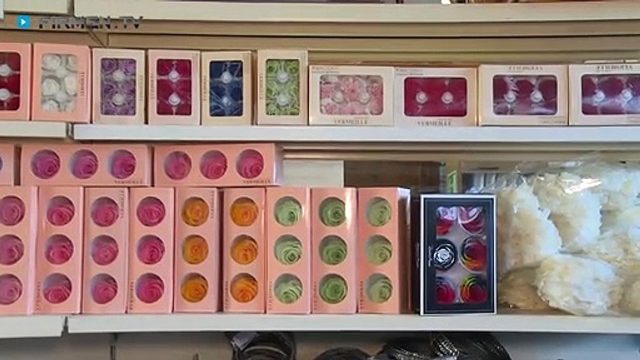 Blumello in Oettingen – Ihr Online-Shop für gefriergetrocknete Rosen, Kakteen sowie Dekoartikel