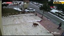 Sokak köpeğiyle temizlik görevlisinin sıcak karşılaşması