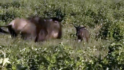 성동추천업소【OI0↔29O8↔68O③】성동추천업소예약♥≵≪