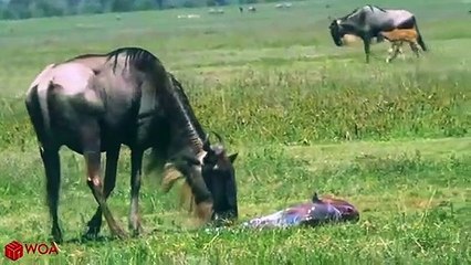 안양추천업소【OI0↔29O8↔68O③】안양추천업소예약♥≭≪