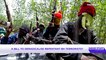 A bill to de-radicalise repentant Boko Haram terrorists?