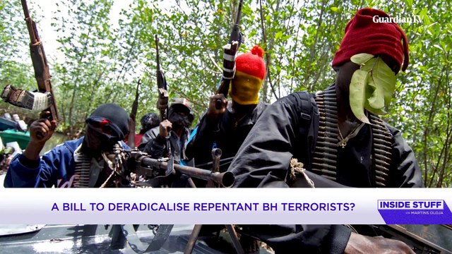 A bill to de-radicalise repentant Boko Haram terrorists?