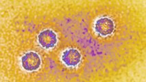 Coronavirus Outbreak Grows In Northern Italy