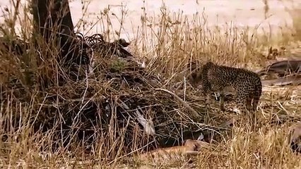 문경출장서비스 문경출장서비스O1Og2118g2518｛카톡TAT22｝ 문경출장마사지샵 문경출장안마on문경출장안마cos여3♪⇔∃마사지황형♥≈≪