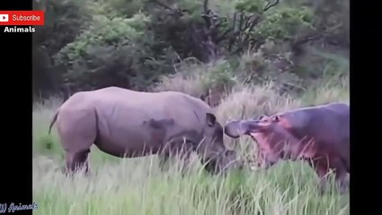 해운대출장서비스 해운대출장서비스O1OE2541E2560｛카톡YTN9｝ 해운대출장마사지샵 해운대출장안마on해운대출장안마cos여3♪⇔∃마사지황형♥◣≪