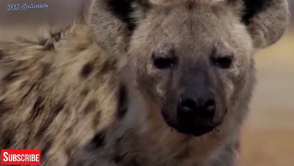 가평출장서비스 가평출장서비스O1Og2143g9131｛카톡KOM88｝ 가평출장마사지샵 가평출장안마on가평출장안마cos여3♪⇔∃마사지황형♥⊒≪