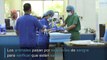 Emiratos Árabes Unidos tiene un hospital para halcones