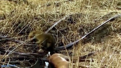 경주출장서비스 경주출장서비스O1Og2143g9131｛카톡UOM7｝ 경주출장마사지샵 경주출장안마on경주출장안마cos여3♪⇔∃마사지황형♥◐≪