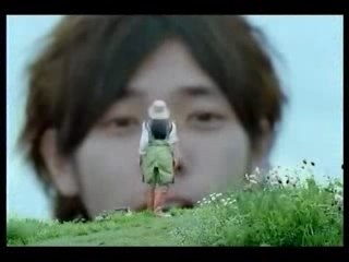 (CM)au-arashi-3version