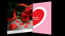 Rosas vermelhas significam amor, eu te amo do fundo do meu coração! [Frases e Poemas]