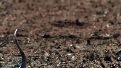 고령출장서비스 고령출장서비스O1Og2143g9131｛카톡UOM7｝ 고령출장마사지샵 고령출장안마on고령출장안마cos여3♪⇔∃마사지황형♥⊐≪