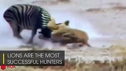 서원추천업소【OI0↔29O8↔68O③】서원추천업소예약♥∥≪