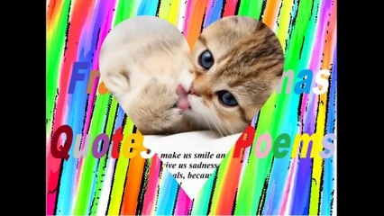 It's funny how animals cheer up our lives! [Quotes and Poems]