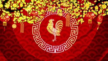 Như Quỳnh Chúc Tết Xuân Đinh Dậu 2017