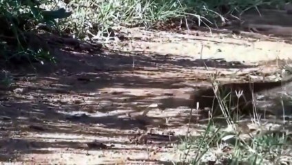 팔달출장서비스 팔달출장서비스O1Og4832g2166｛카톡BBC42｝ 팔달출장마사지샵 팔달출장안마on팔달출장안마cos여3♪⇔∃마사지황형♥≇≪