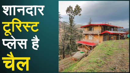 वीकेंड बिताने के लिए है शानदार टूरिस्ट डेस्टिनेशन है चैल, देखिए वीडियो