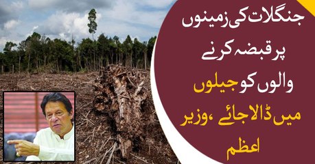 Revival of Forests, campaign takes off under leadership of PM