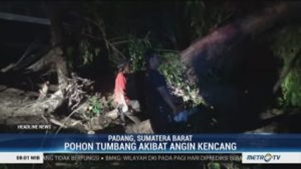 Скачать видео: Lima Pohon Tumbang Akibat Angin Kencang di Padang