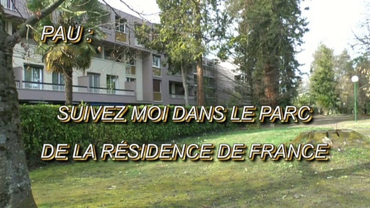 LES PROMENADES DE MICHOU W-D.D. - 15 FÉVRIER 2020 - PAU - SUIVEZ MOI DANS LE PARC DE LA RÉSIDENCE DE FRANCE