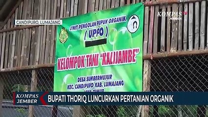 Bupati Thoriq Luncurkan Pertanian Organik