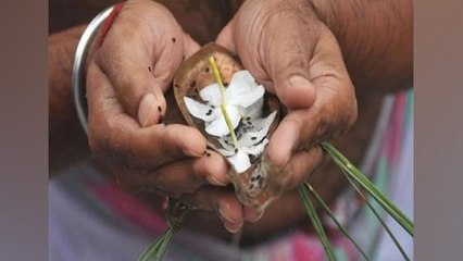 Falgun Amavasya 2020 : फाल्गुन अमावस्या 2020 इस शुभ मुहूर्त में करें पितरों का तर्पण | Boldsky