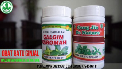 Obat Batu Ginjal De Nature (Galgin karomah dan Gangjie)