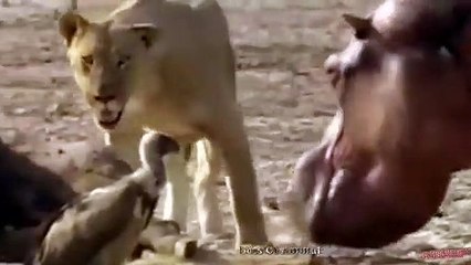 울주추천업소【OI0↔29O8↔68O③】울주추천업소예약♥≳≪