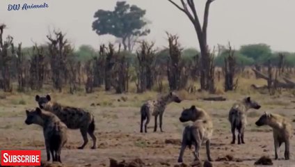 철원출장서비스 철원출장서비스O1OE9914E7203｛카톡MOK8｝ 철원출장마사지샵 철원출장안마on철원출장안마cos여3♪⇔∃마사지황형♥≇≪