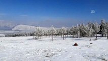 Doğu'da kış - Ağaçlar kırağı ile kaplandı