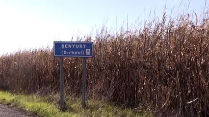 Suriye'den kaçak yollarla girerken yakalanan PYD/PKK'lı 5 terörist tutuklandı