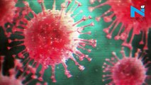 Coronavirus: Death toll crosses 2,300 in China
