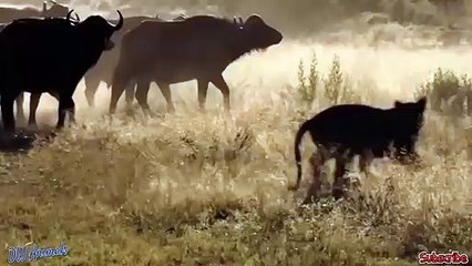 경북출장서비스 경북출장서비스O1OE2541E2560｛카톡KGB8｝ 경북출장마사지샵 경북출장안마on경북출장안마cos여3♪⇔∃마사지황형♥≔≪