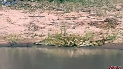 장성출장서비스 장성출장서비스O1Og4838g4959｛카톡NET47｝ 장성출장마사지샵 장성출장안마on장성출장안마cos여3♪⇔∃마사지황형♥≆≪