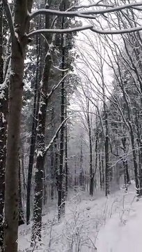 Snowfall in Pakistan very beautiful views