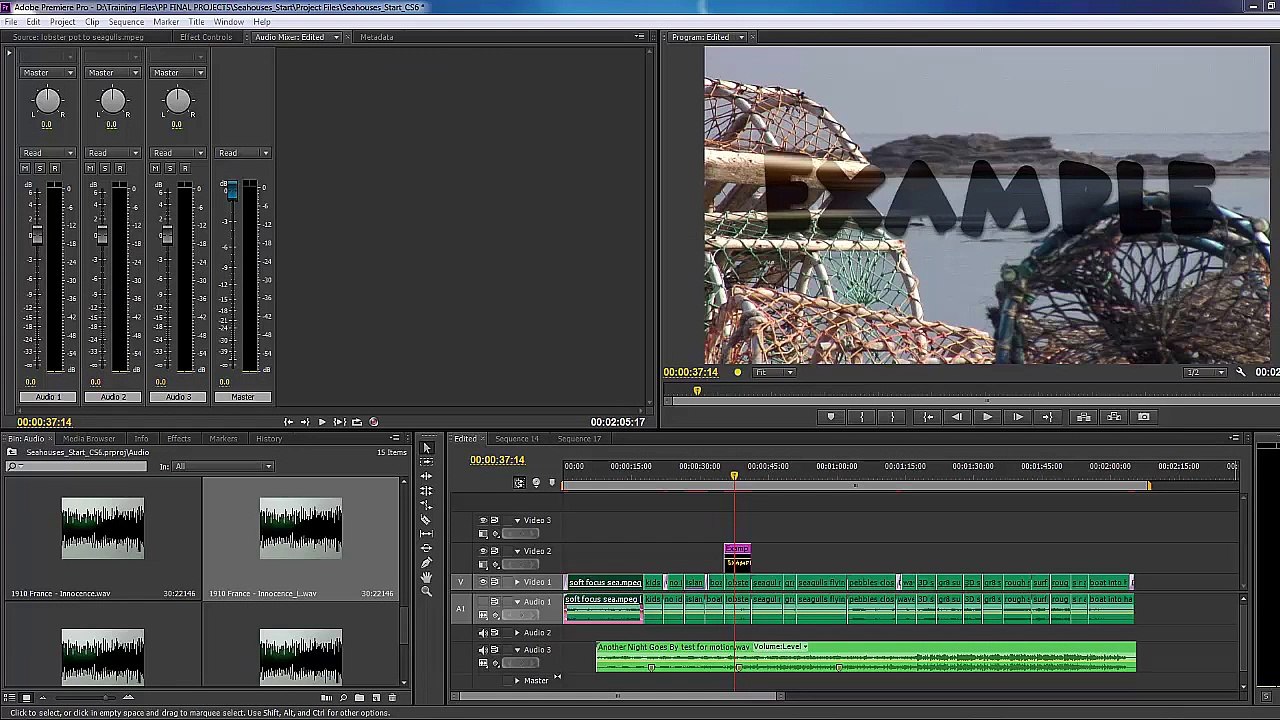 Premiere Pro CS6 73 Clips and Tracks