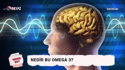 Nedir Bu 22 Şubat 2020