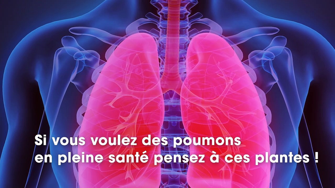 Ces astuces pour arrêter la cigarette et nettoyer vos poumons