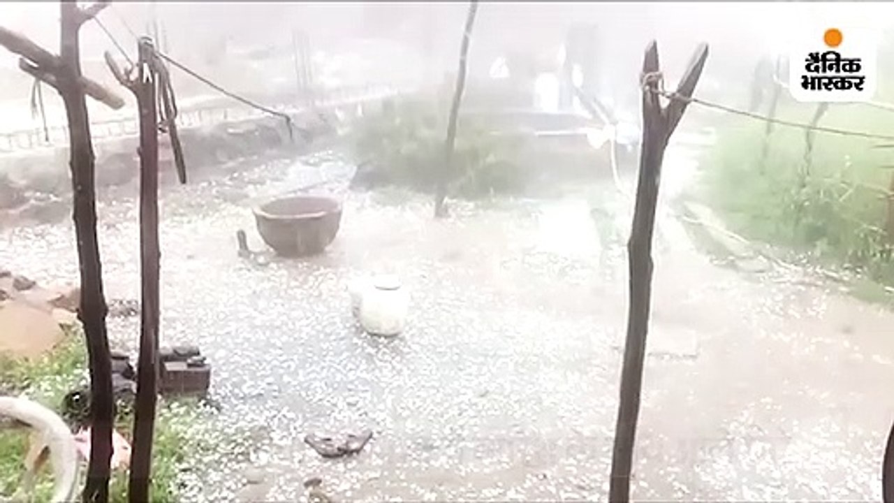 पन्ना, सतना और रीवा में गिरे ओले; कटनी में बिजल...
