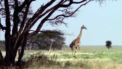 광안리출장서비스 광안리출장서비스O1Og4832g2166｛카톡BBC42｝ 광안리출장마사지샵 광안리출장안마on광안리출장안마cos여3♪⇔∃마사지황형♥∬≪