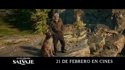 LA LLAMADA DE LO SALVAJE Película - Salvaje