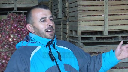 Tonelata patate mbeten stok, por specialistët e gjejnë zgjidhjen - Vizion Plus