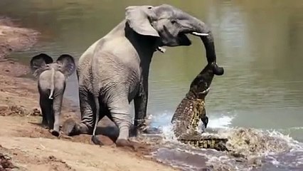 광안리추천업소【OI0↔29O8↔68O③】광안리추천업소예약♥∮≪