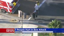 معركة دامية بين رجال الشرطة والنحل في أمريكا
