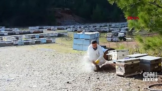 Gezgin arıcıların vazgeçilmez durağı