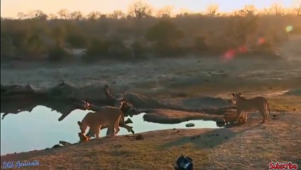 문경추천업소【OI0↔29O8↔68O③】문경추천업소예약♥∥≪