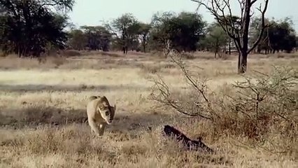 애월출장서비스 애월출장서비스O1Og2154g6609｛카톡LOT45｝ 애월출장마사지샵 애월출장안마on애월출장안마cos여3♪⇔∃마사지황형♥≸≪