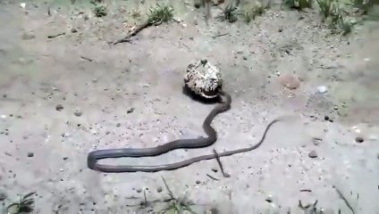 논산출장서비스 논산출장서비스O1Og2118g2518｛카톡KFC49｝ 논산출장마사지샵 논산출장안마on논산출장안마cos여3♪⇔∃마사지황형♥≣≪