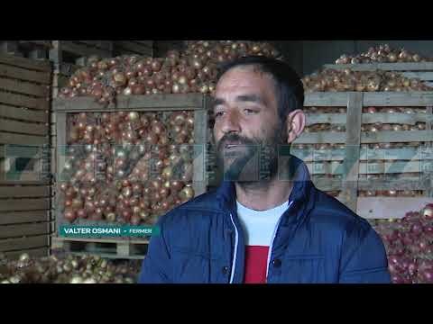 TONELATA PATATE MBETEN STOK, FERMERET THONE SE NUK KA TREG - News, Lajme - Kanali 7