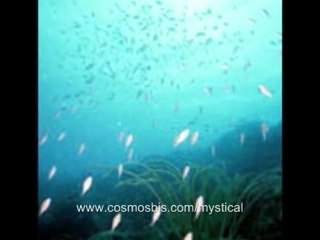 mystical tarot magic learn play download software universe s